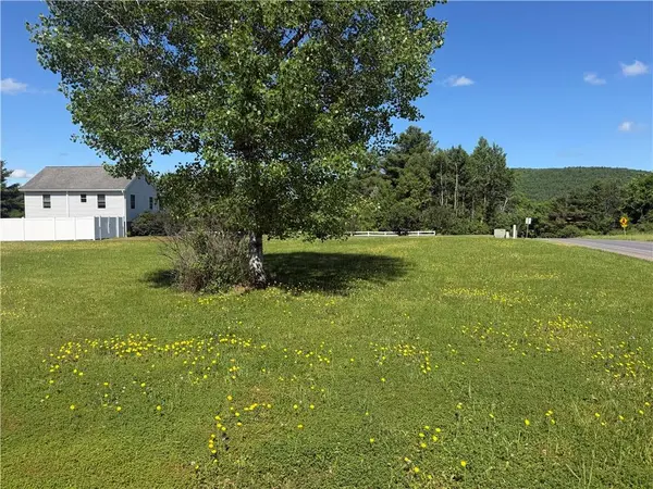 Park Dr, Oneonta, NY 13820