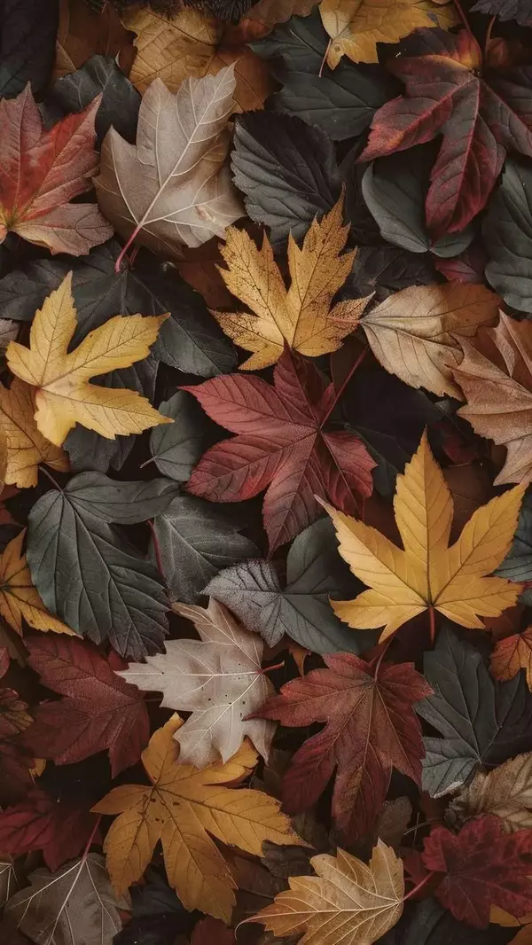 Fall Real Estate: Tips for Buyers and Sellers