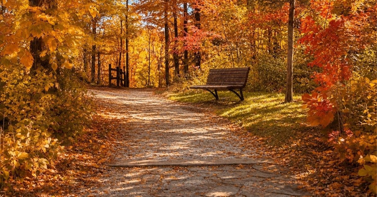 Highbanks Metro Park near Lewis Center Ohio during peak fall foliage