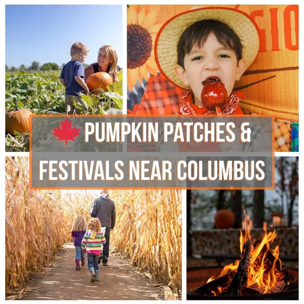 Fall Fun in Central Ohio: The Best Pumpkin Patches & Festivals to Visit in 2025