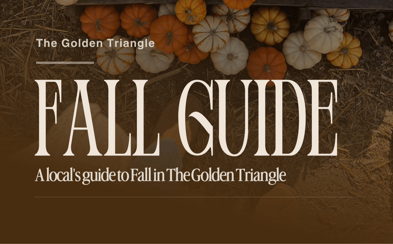 Fall Guide 2026 - The McGill Group  REAL BROKER (1)