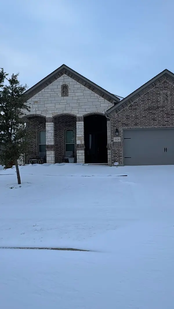 What Our North-Facing Home Taught Me (So You Don’t Have to)