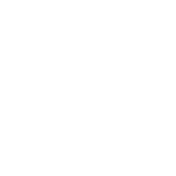 Mortgage Loan Processing
