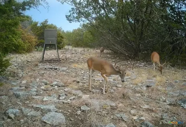 Lot 16a Copperas Cove,,FM 1113 W Lindorbet Ranch