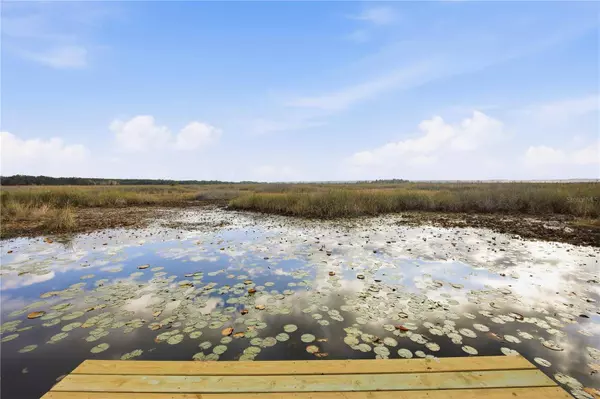 23422 NE 154TH PLACE RD, Salt Springs, FL 32134