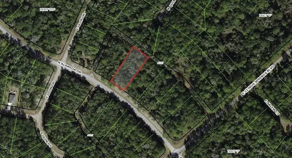 8755 N ALAMEDA DR, Dunnellon, FL 34434