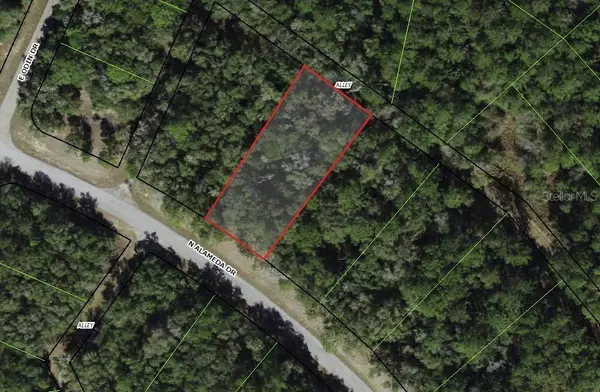 8755 N ALAMEDA DR, Dunnellon, FL 34434
