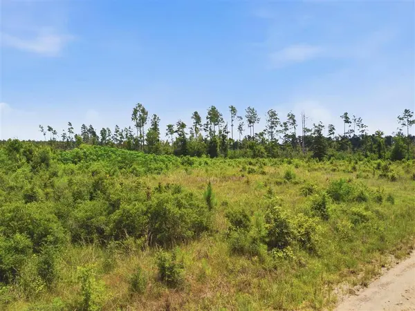 Elroy Sittig RD, Ragley, LA 70652