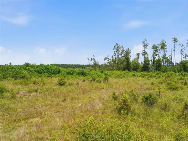 Elroy Sittig RD, Ragley, LA 70652