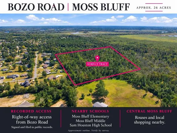 TBD Bozo RD