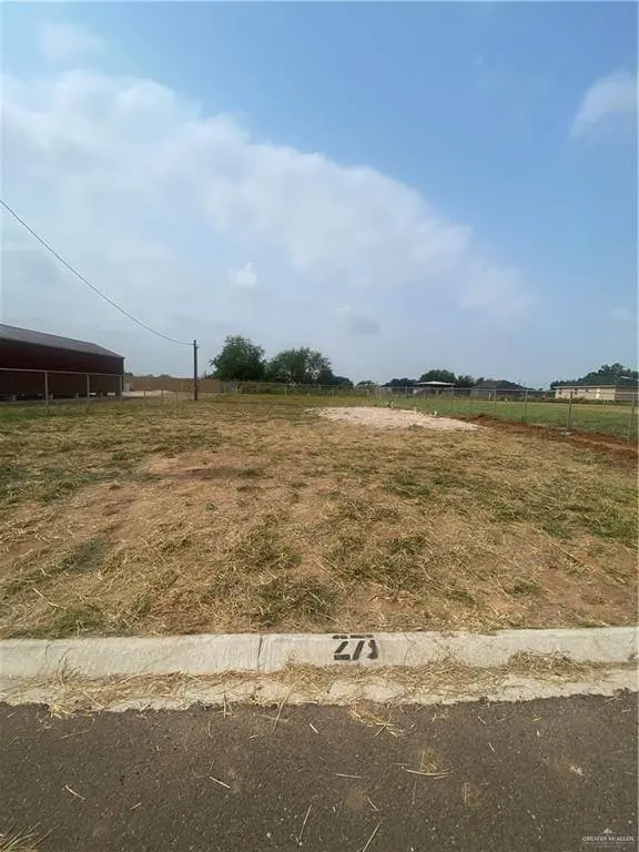 4664 Steamboat DR, Edinburg, TX 78542