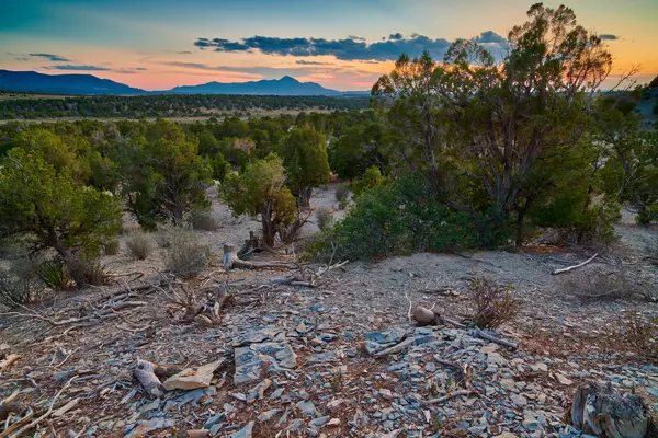 ute sunrise