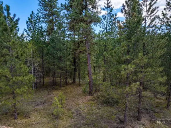 Lot 8 Star Creek Ct, Placerville, ID 83666