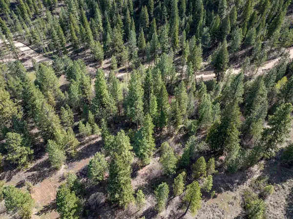 Lot 12 Star Creek Ct, Placerville, ID 83636-6