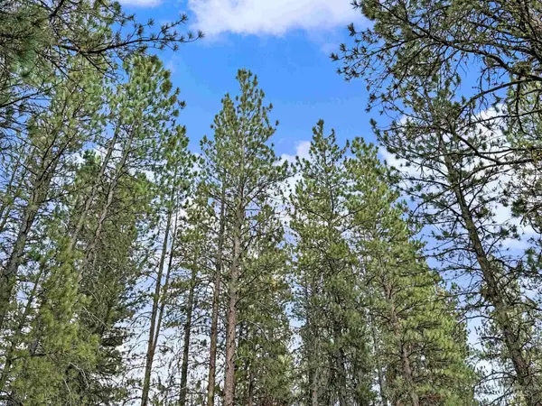 5 Fairchild Way, Idaho City, ID 83631