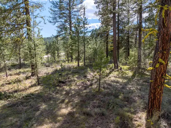 Lot 2 Star Creek Ct, Placerville, ID 83666
