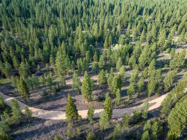 Lot 31 Trail Creek Ct, Placerville, ID 83666