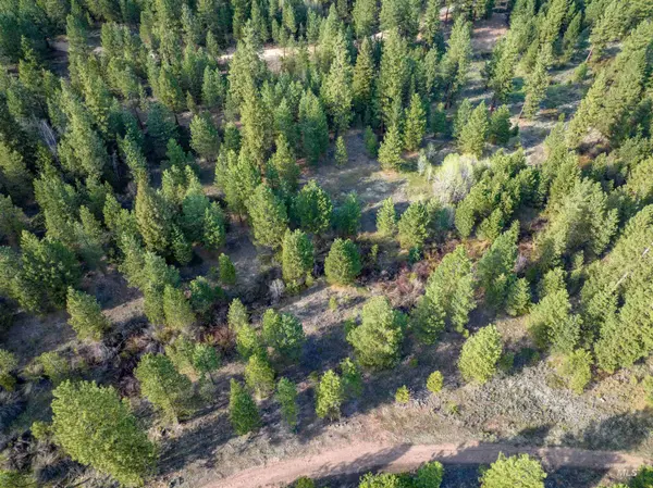 Lot 31 Trail Creek Ct