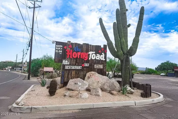 231 E SANTA CRUZ Drive, Phoenix, AZ 85085