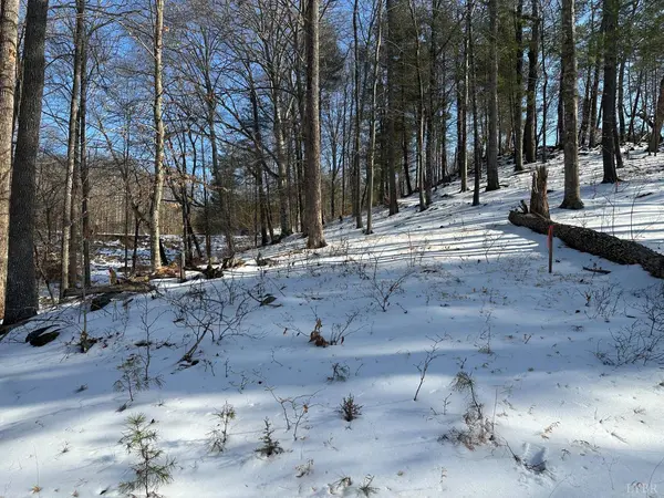 0 Lakewatch CIR #Lot 42, Moneta, VA 24121