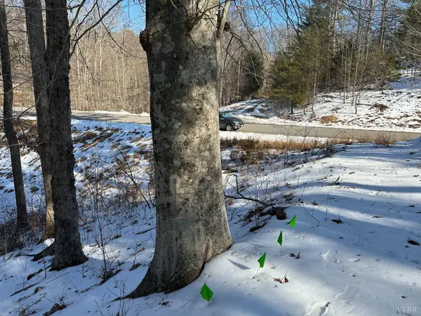 0 Lakewatch CIR #Lot 42, Moneta, VA 24121