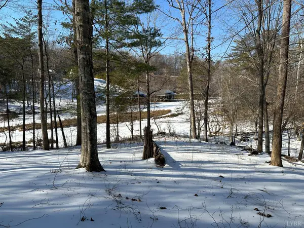 0 Lakewatch CIR #Lot 42, Moneta, VA 24121