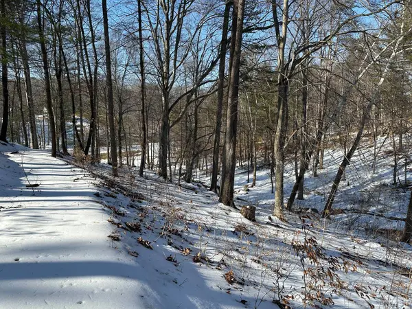 0 Lakewatch CIR #Lot 42, Moneta, VA 24121