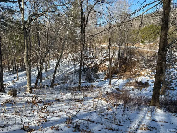 0 Lakewatch CIR #Lot 42, Moneta, VA 24121