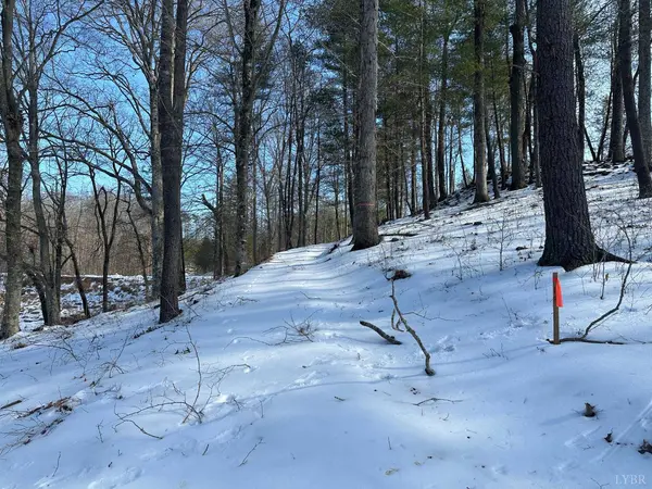 0 Lakewatch CIR #Lot 42, Moneta, VA 24121