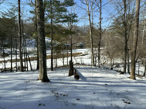 42 Lakewatch CIR, Moneta, VA 24121