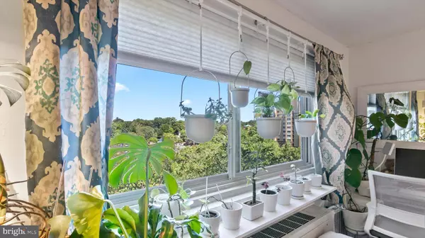 7333 NEW HAMPSHIRE AVE #800, Takoma Park, MD 20912