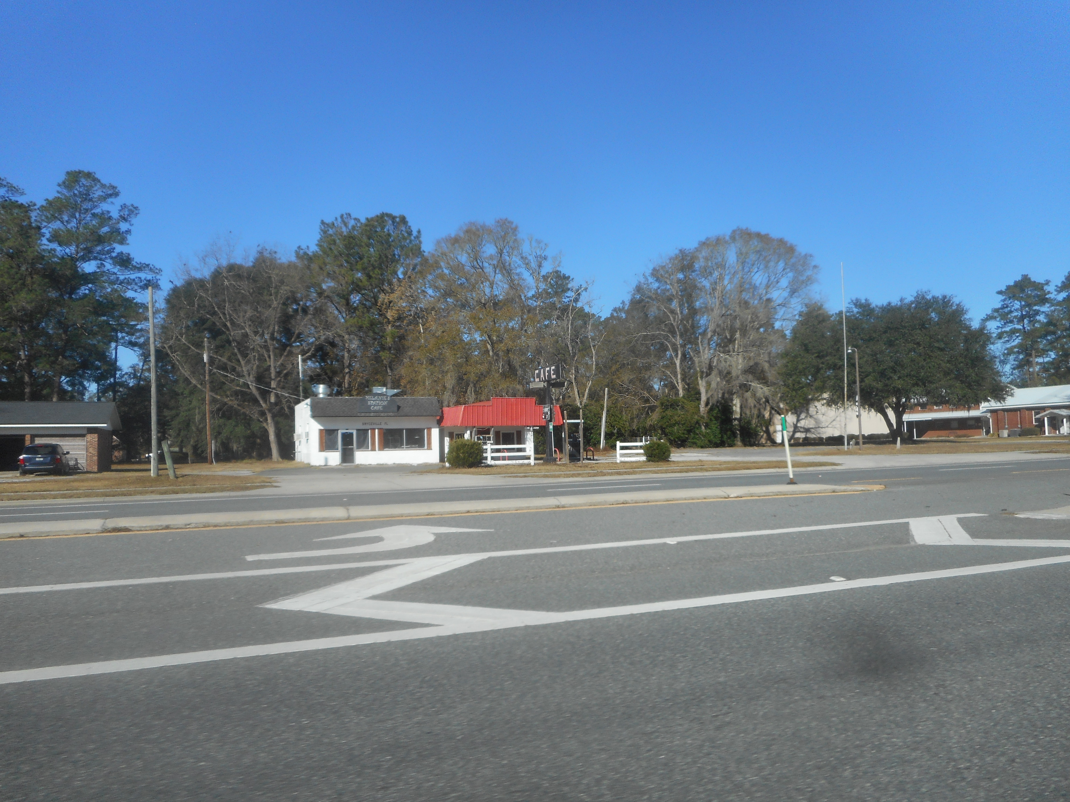 Long dirt driveway through tall pines toward a rural homestead in Bryceville, Florida