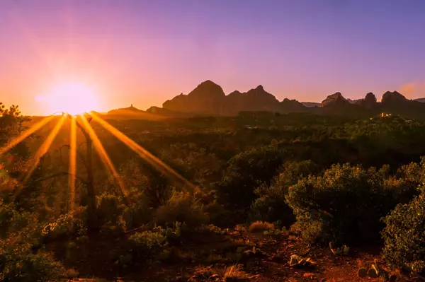 John Schrei Realtor Desert Velocity Arizona Luxury Real Estate That Moves You  (1)