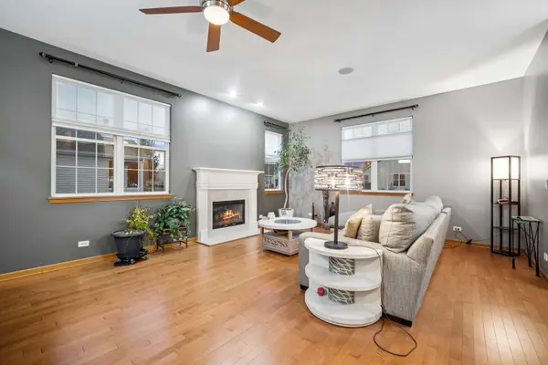 672 N Falls CIR, Pingree Grove, IL 60140