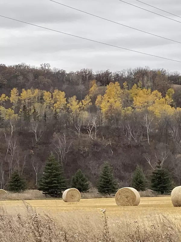Fall harvest in La Riviere, MB Municipality of Pembina