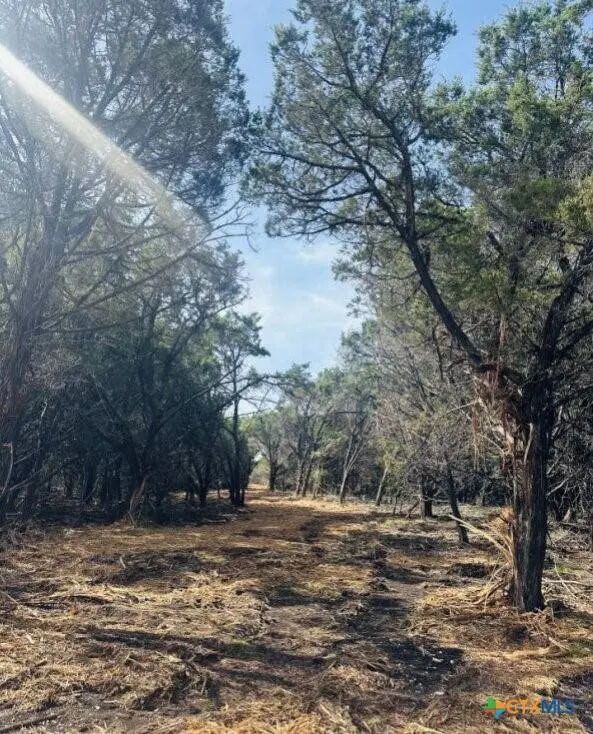 TBD Lot 4 Rojo LN, Burnet, TX 78605