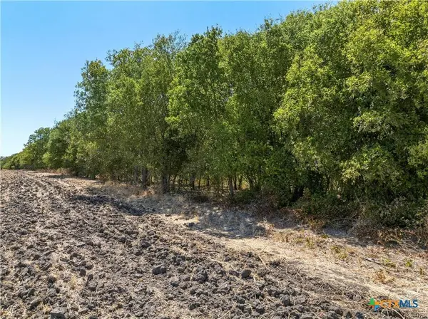 TBD +/- 12 Acres T M West Pkwy, West, TX 76691