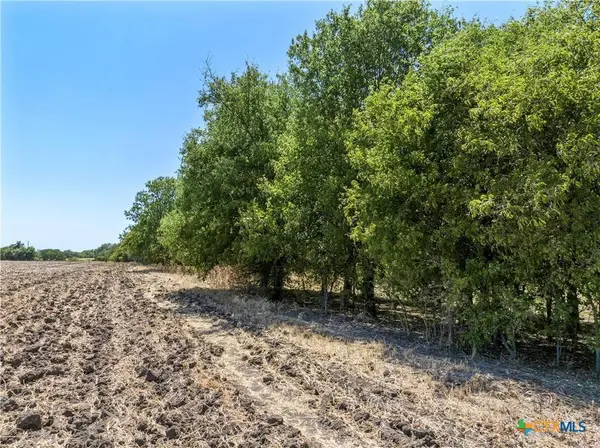 TBD +/- 12 Acres T M West Pkwy, West, TX 76691