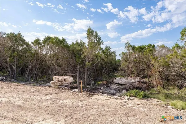 TBD Lot 19 Hank Williams WAY, Burnet, TX 78605