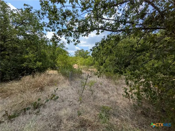 8288 Buckhorn Cemetery RD, Moody, TX 76557