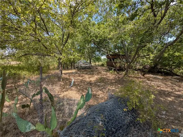 8288 Buckhorn Cemetery RD, Moody, TX 76557