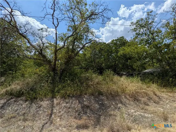 8288 Buckhorn Cemetery RD, Moody, TX 76557