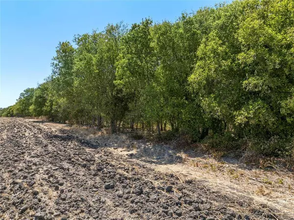 TBD +/- 12.5 Acres T M West Parkway, West, TX 76691