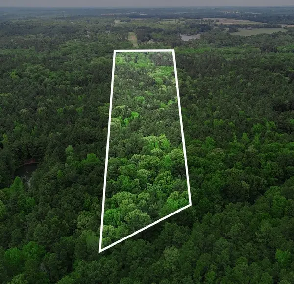 TBD 10 Acres CR 1113, Tyler, TX 75703