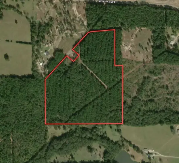 TBD 42 Acres CR 3116, Winona, TX 75792