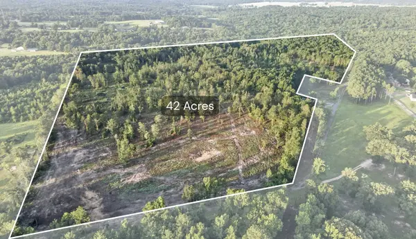 TBD 42 Acres CR 3116, Winona, TX 75792