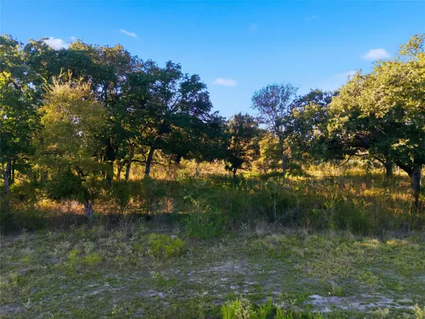 TBD Fm-147, Marlin, TX 76661