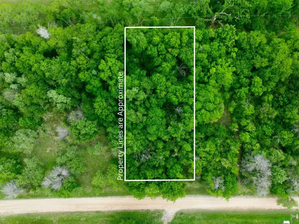 TBD Melondale DR, Elm Mott, TX 76640