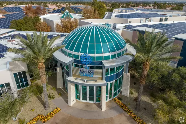 The Adelson School