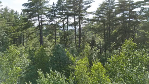 0 Ossipee Lake RD, Tamworth, NH 03818